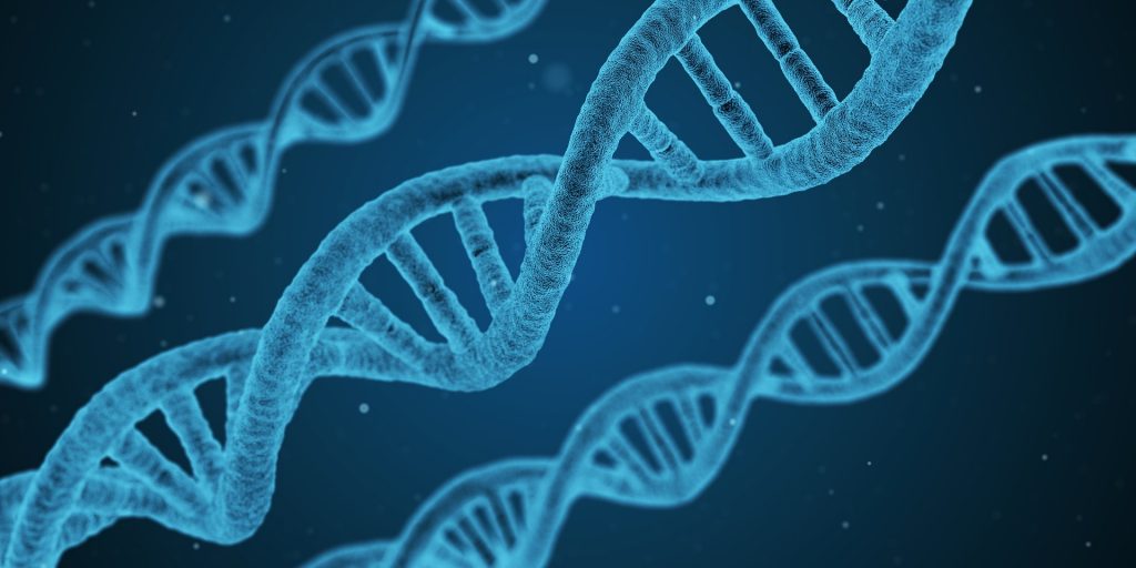 DNA artwork